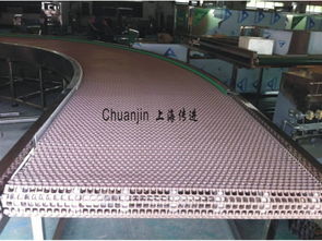 非標(biāo)輸送機 定制化輸送設(shè)備及配件的制造與應(yīng)用